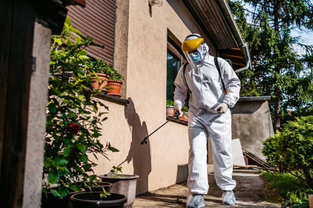 Best Mosquito Control Services  in Yorkshire, VA