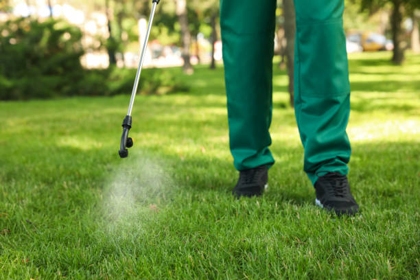 Best Mosquito Control Services  in Yorkshire, VA