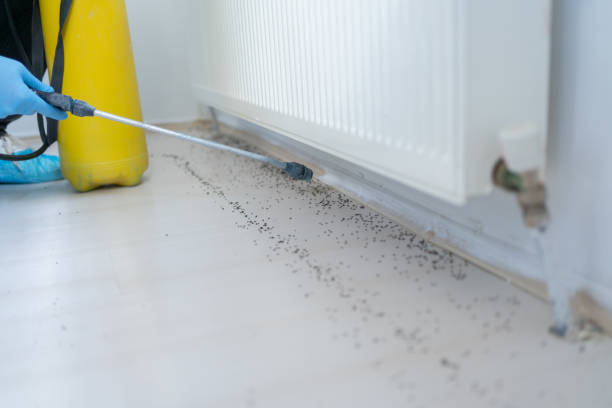 Best Emergency Pest Control  in Yorkshire, VA